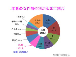 宮崎県の女性部位別がん死亡割合